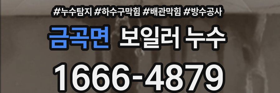 금곡면 보일러 누수