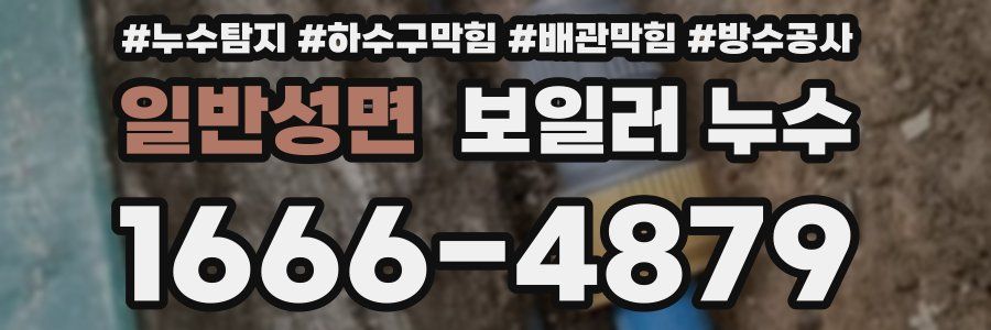 일반성면 보일러 누수