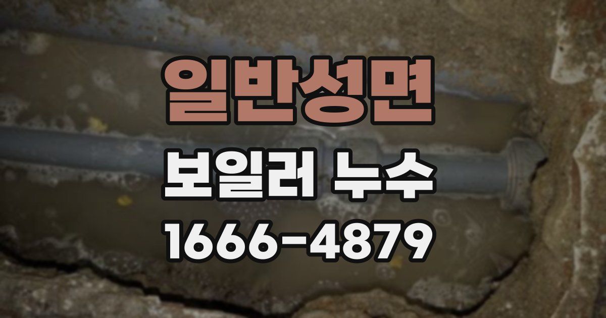 일반성면 보일러 누수