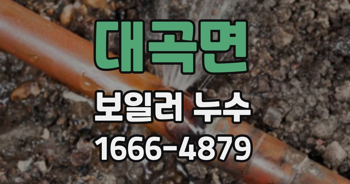 대곡면 보일러 누수