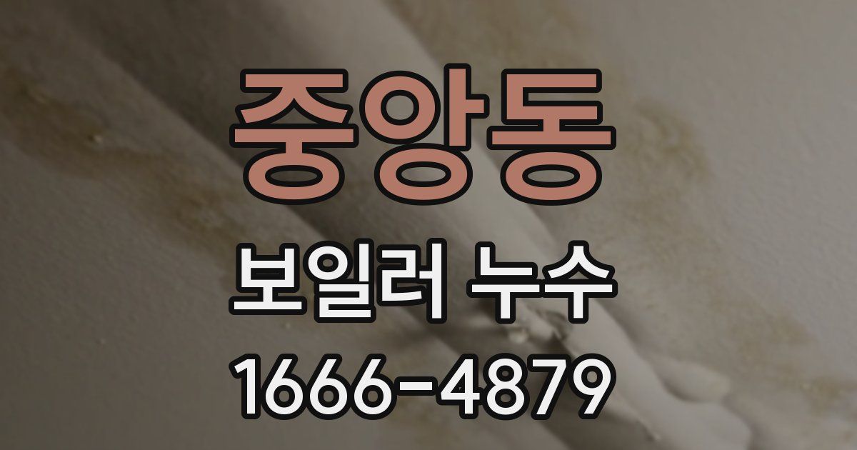 중앙동 보일러 누수