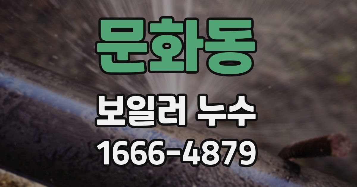 문화동 보일러 누수