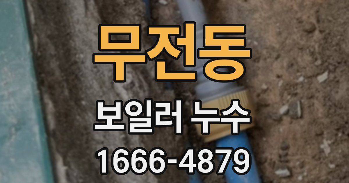 무전동 보일러 누수