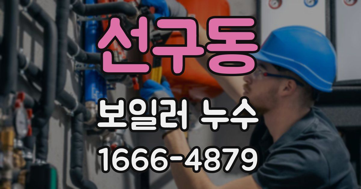 선구동 보일러 누수