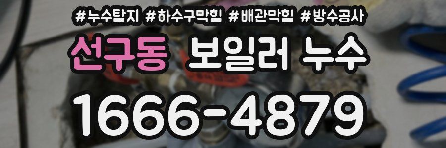 선구동 보일러 누수