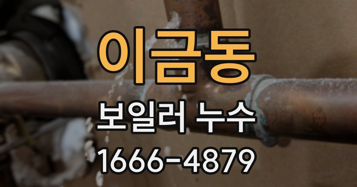 이금동 보일러 누수
