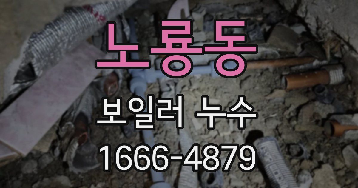 노룡동 보일러 누수
