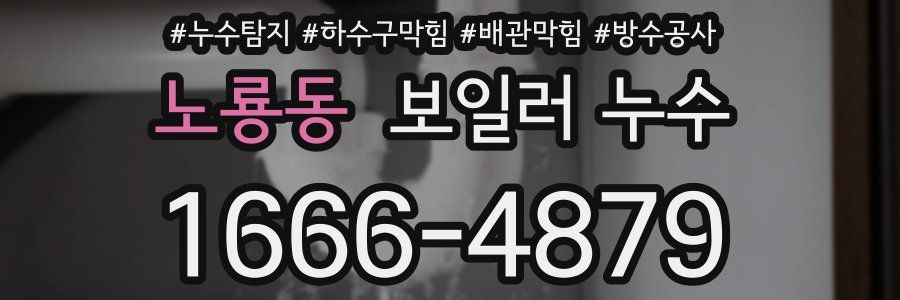 노룡동 보일러 누수