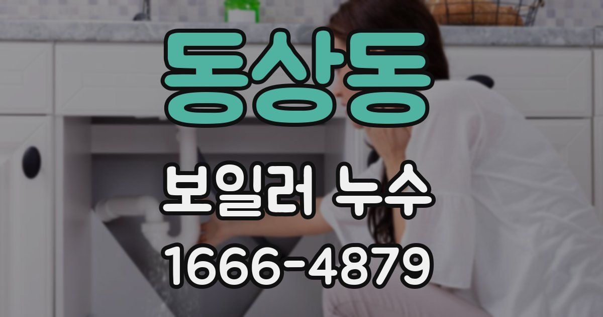 동상동 보일러 누수