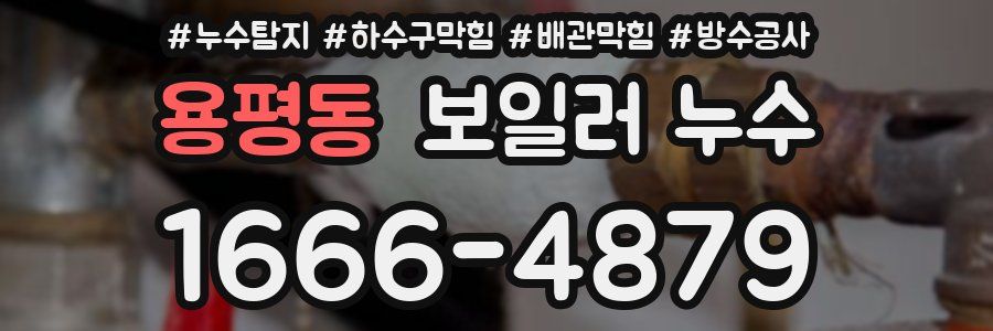 용평동 보일러 누수