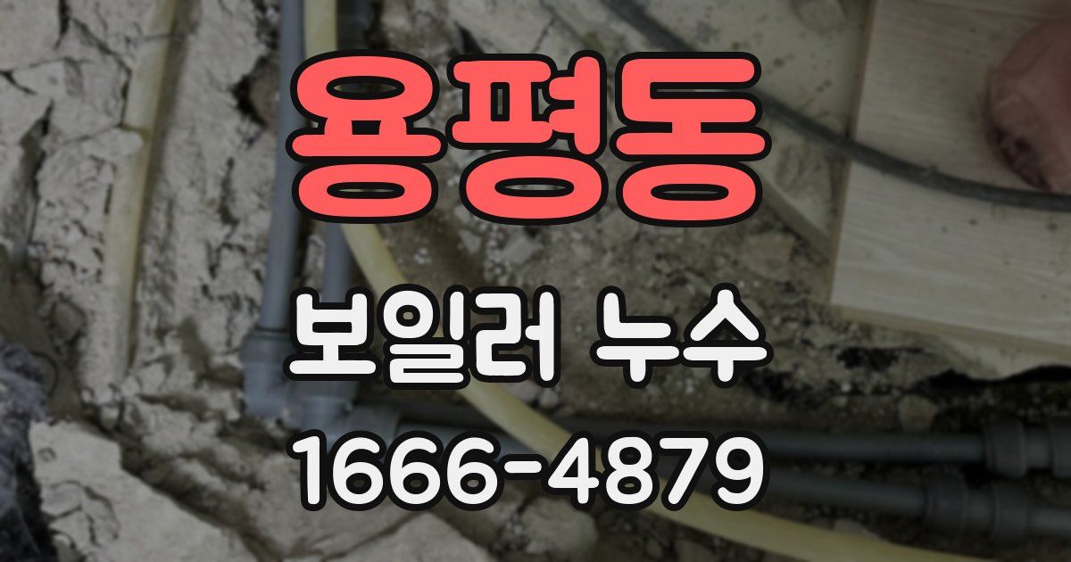 용평동 보일러 누수