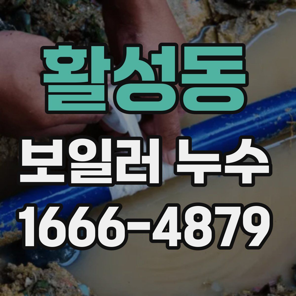 활성동 보일러 누수
