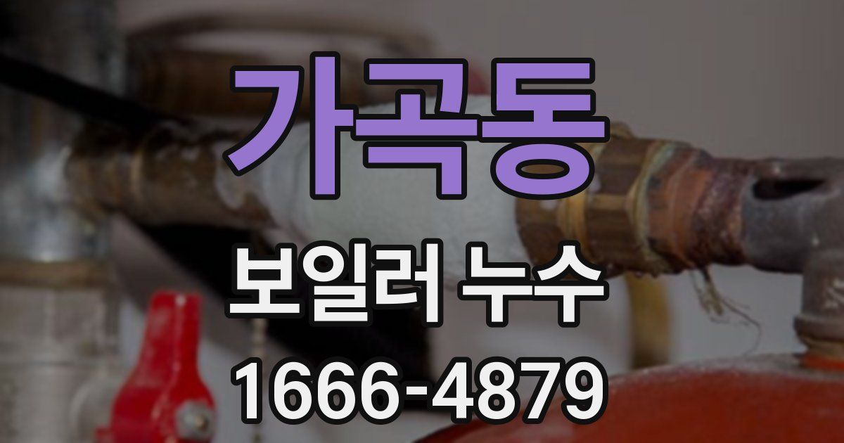 가곡동 보일러 누수