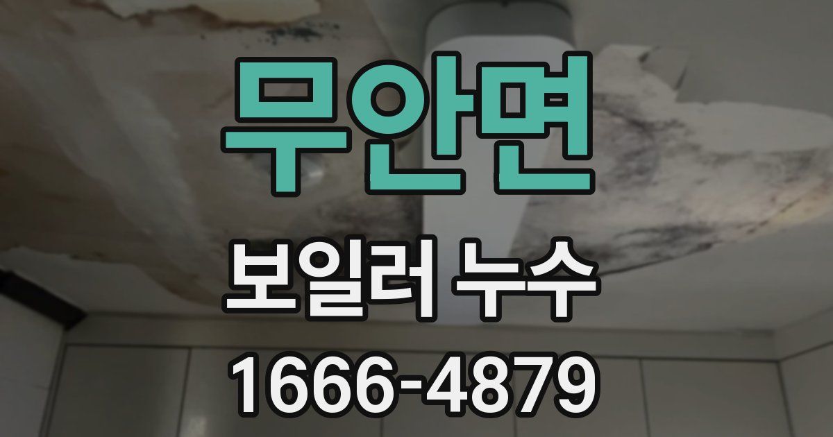 무안면 보일러 누수