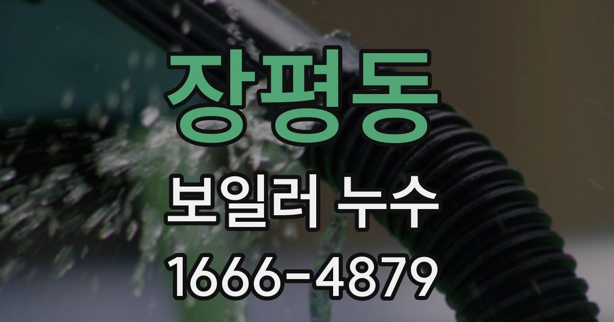 장평동 보일러 누수