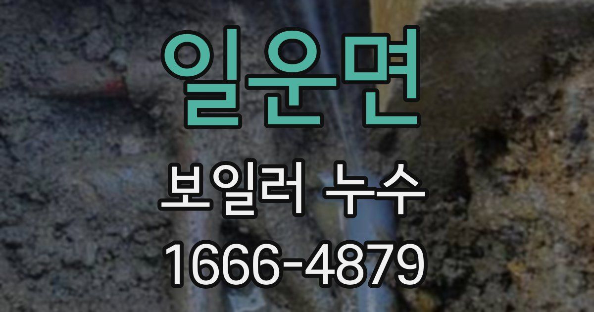 일운면 보일러 누수