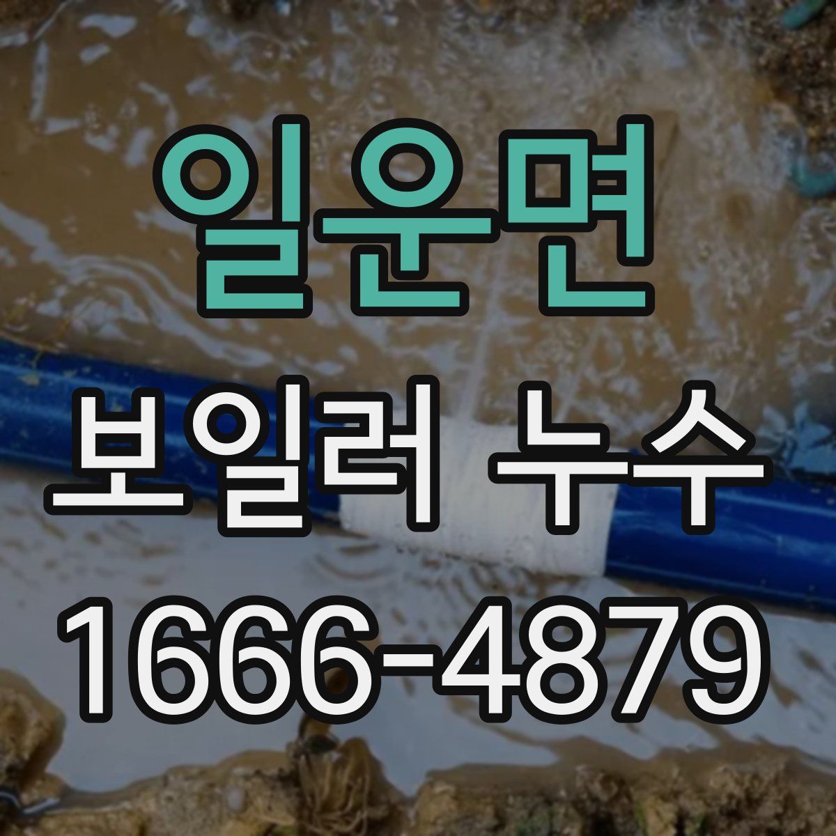 일운면 보일러 누수
