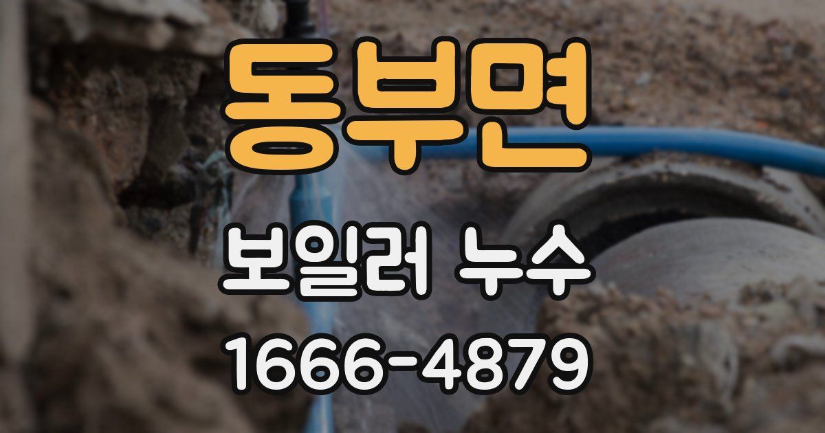 동부면 보일러 누수