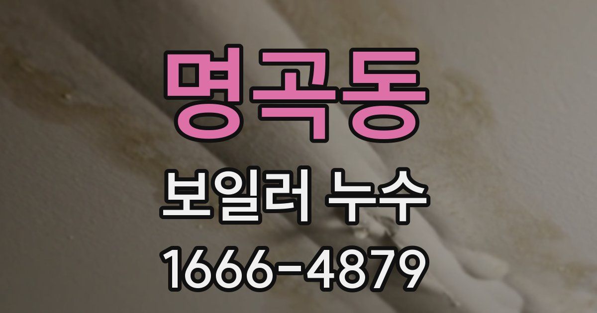 명곡동 보일러 누수