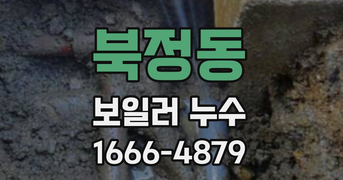 북정동 보일러 누수