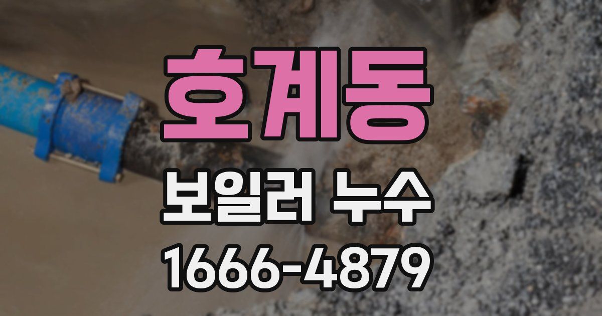 호계동 보일러 누수