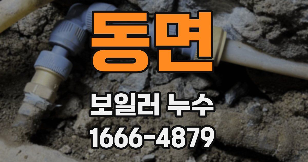 동면 보일러 누수