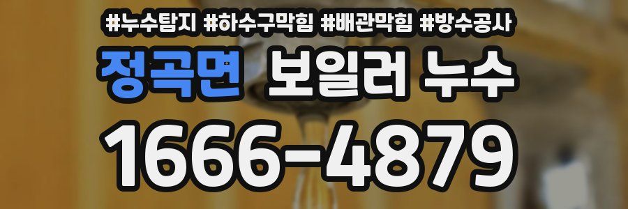 정곡면 보일러 누수