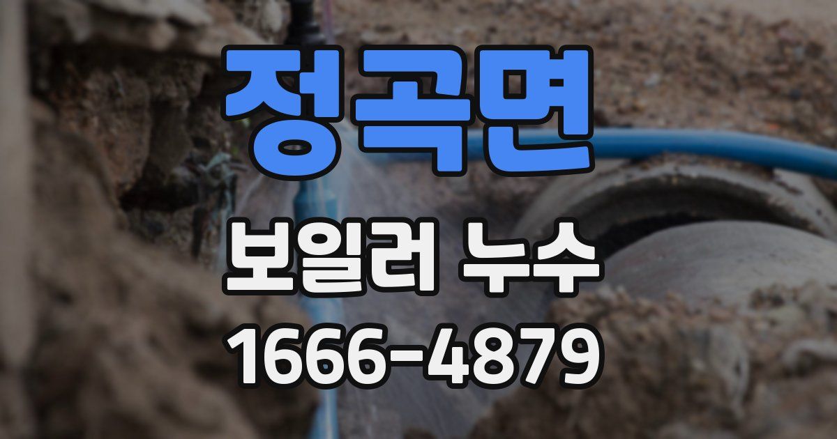 정곡면 보일러 누수