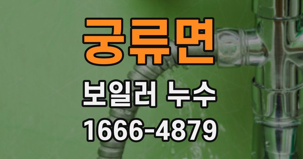 궁류면 보일러 누수