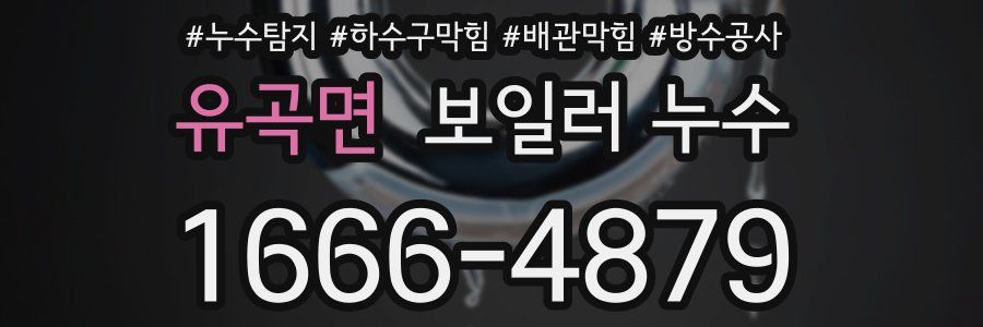 유곡면 보일러 누수