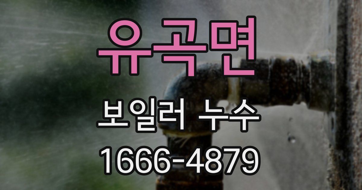 유곡면 보일러 누수