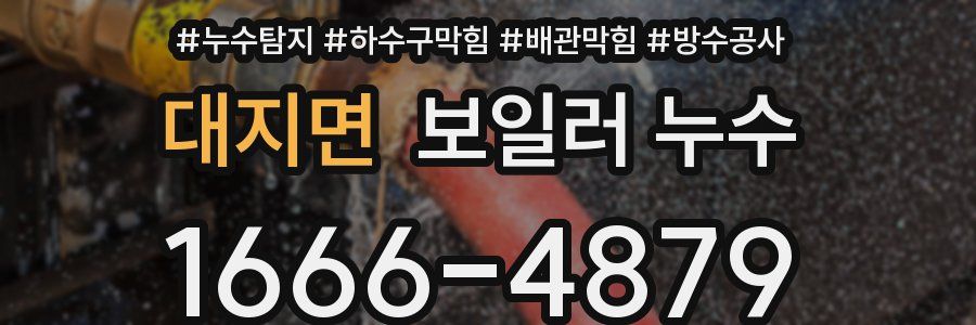 대지면 보일러 누수