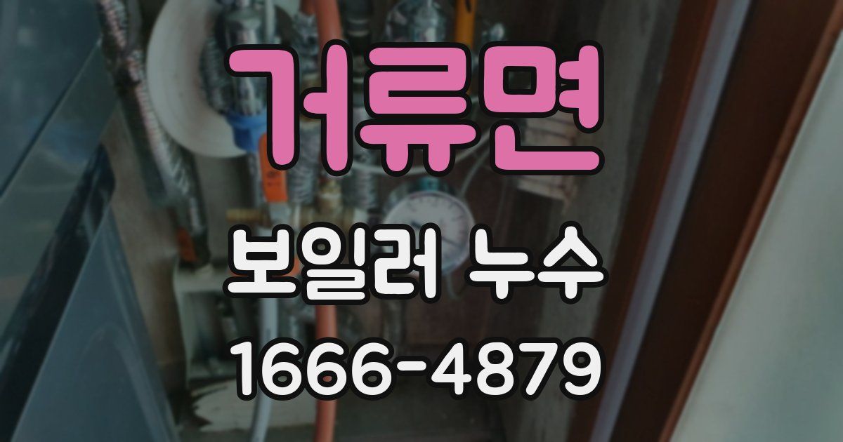 거류면 보일러 누수