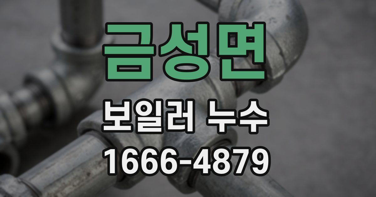 금성면 보일러 누수