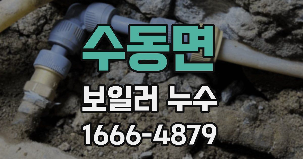 수동면 보일러 누수