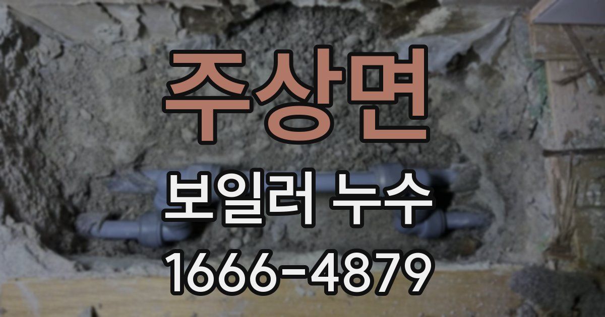 주상면 보일러 누수