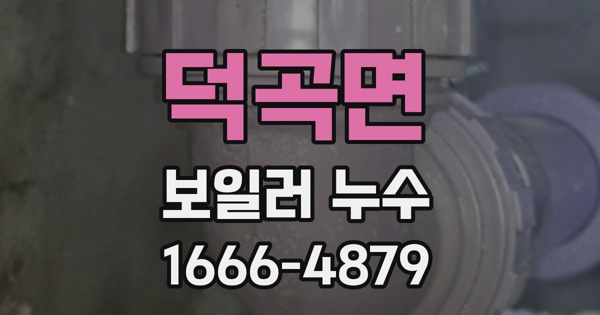 덕곡면 보일러 누수