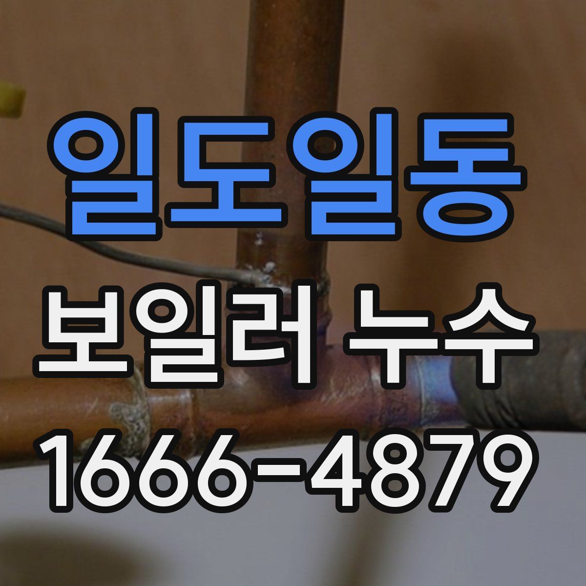 일도일동 보일러 누수