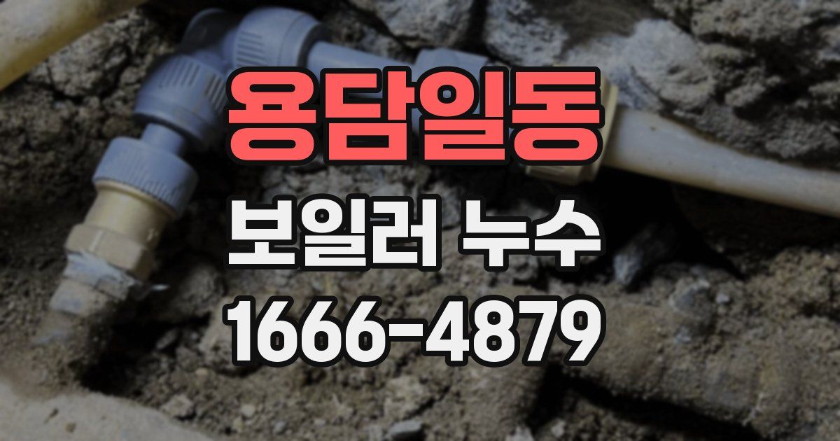 용담일동 보일러 누수