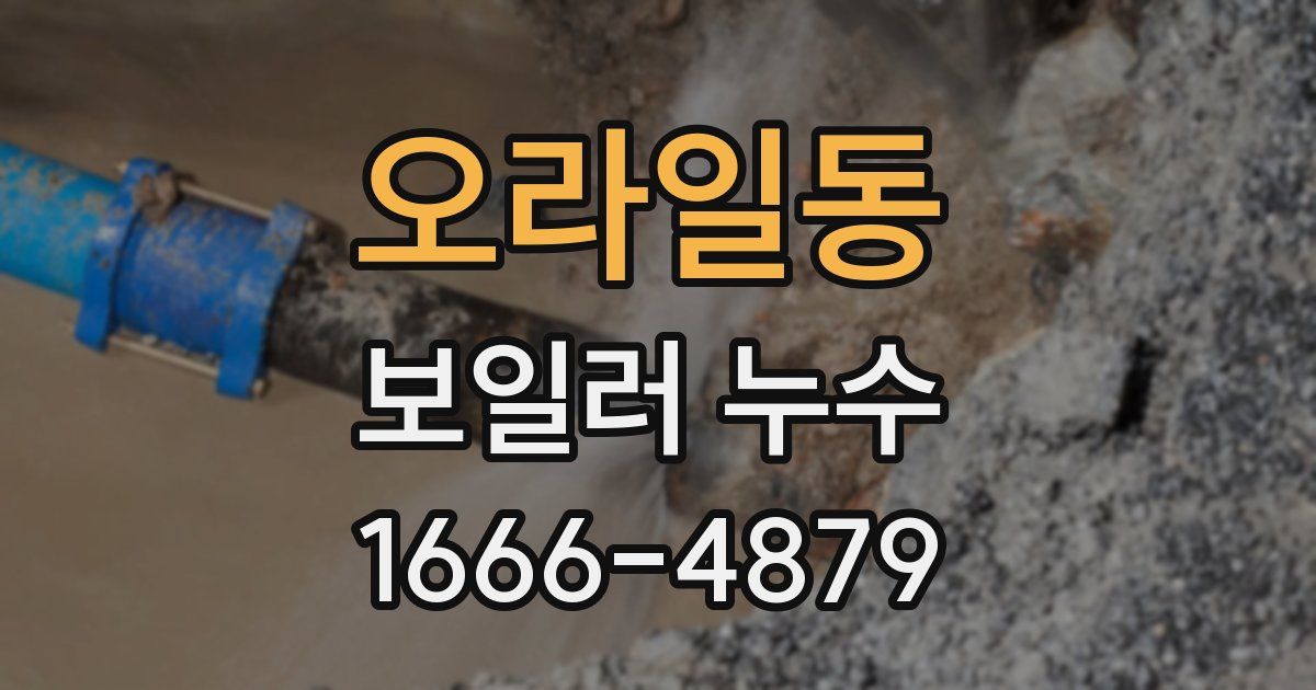 오라일동 보일러 누수