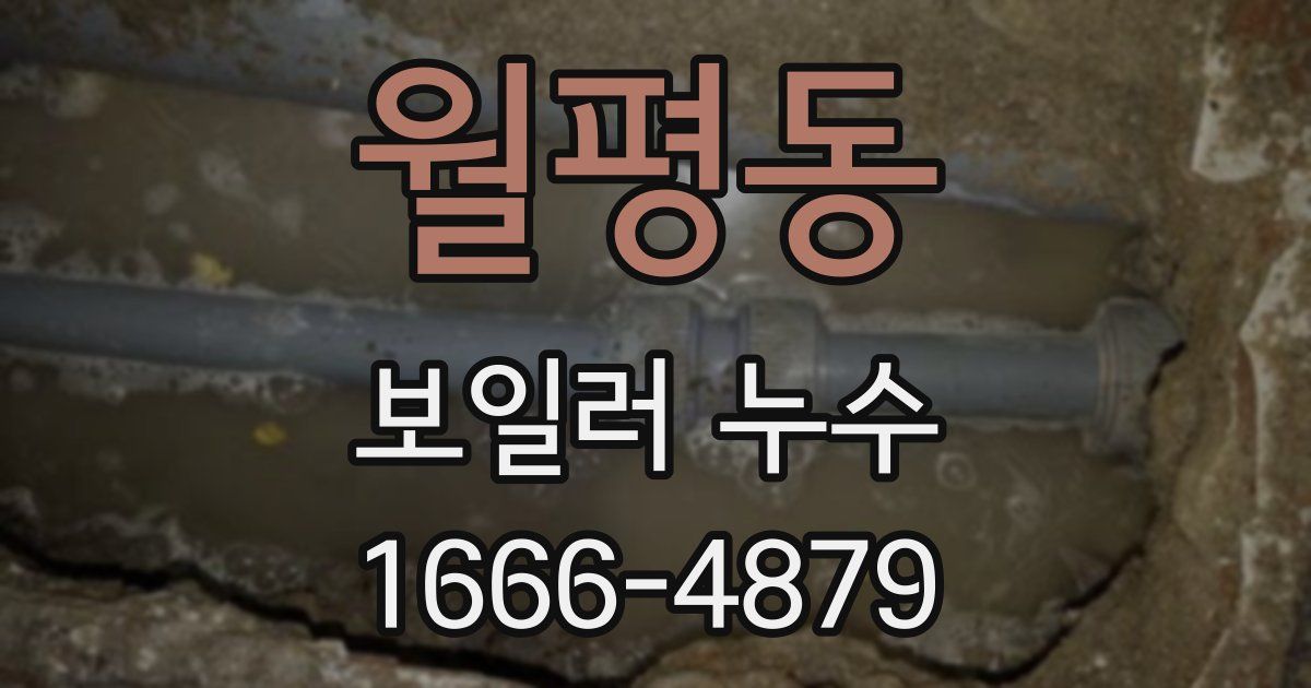 월평동 보일러 누수