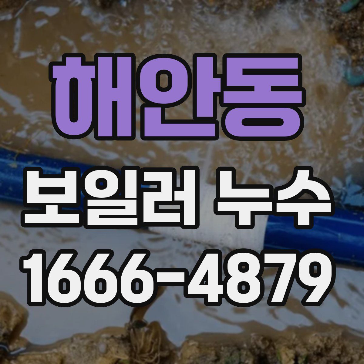 해안동 보일러 누수