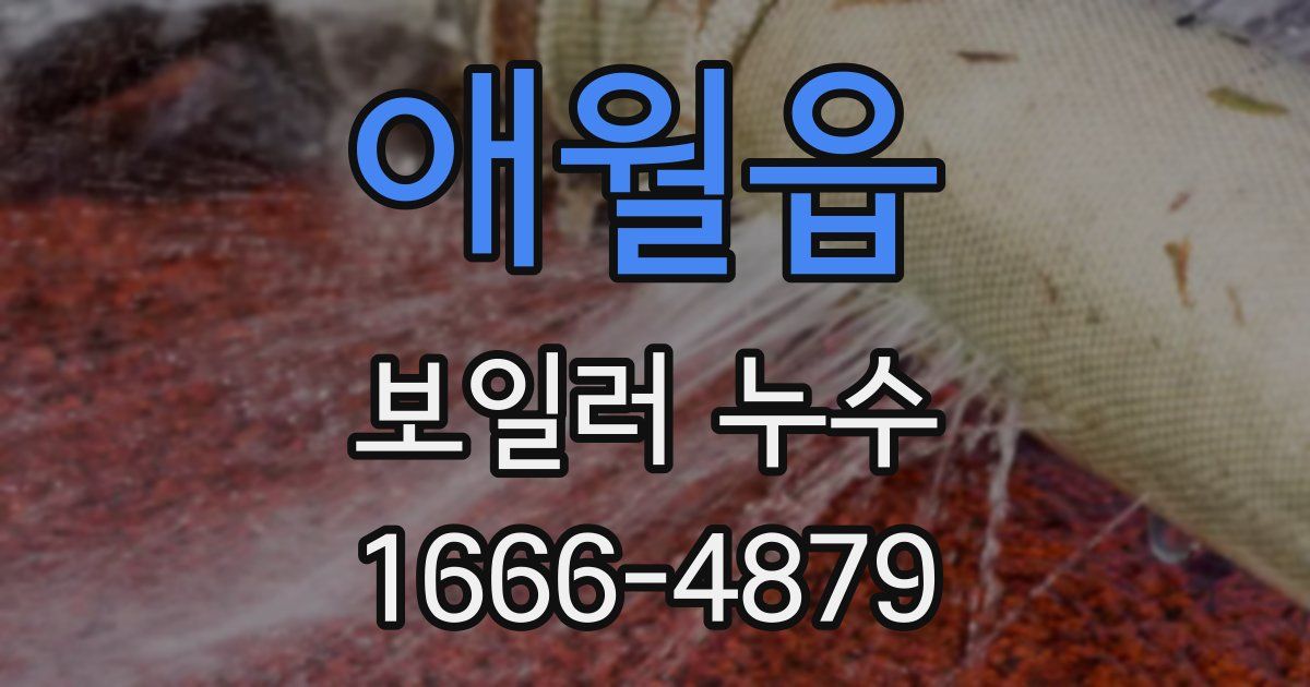 애월읍 보일러 누수