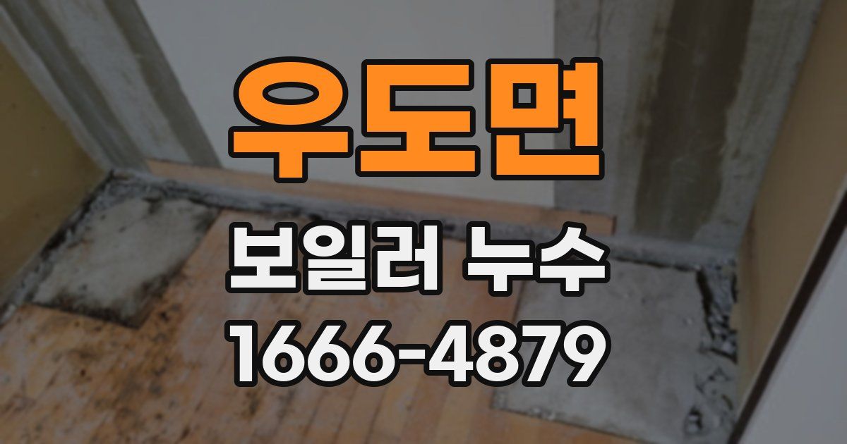 우도면 보일러 누수