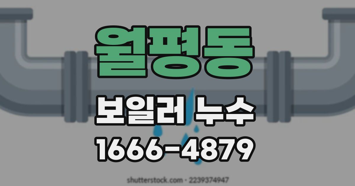 월평동 보일러 누수