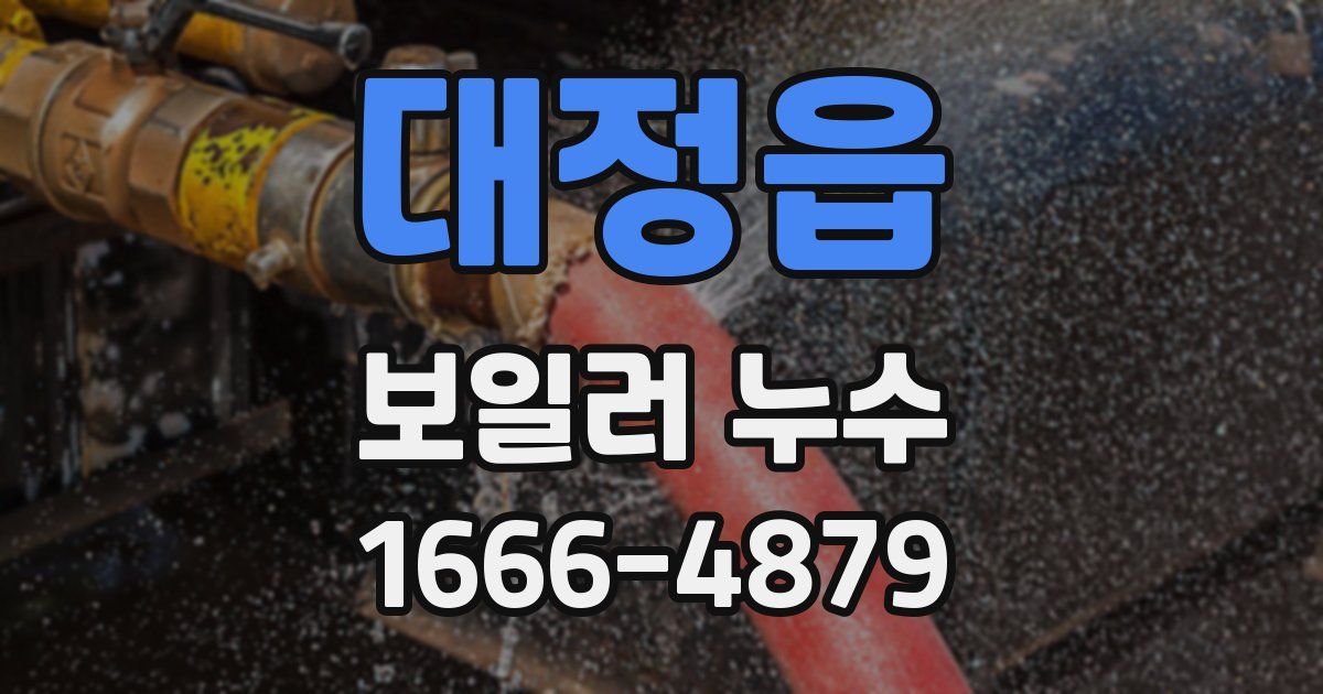 대정읍 보일러 누수