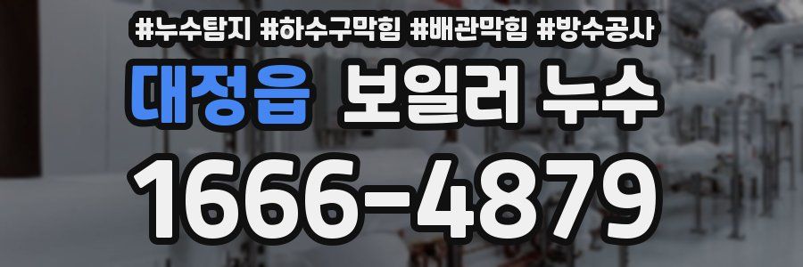 대정읍 보일러 누수