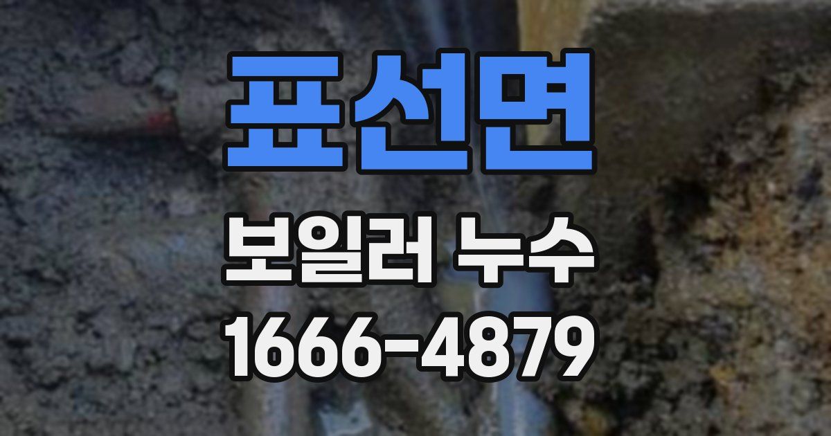 표선면 보일러 누수