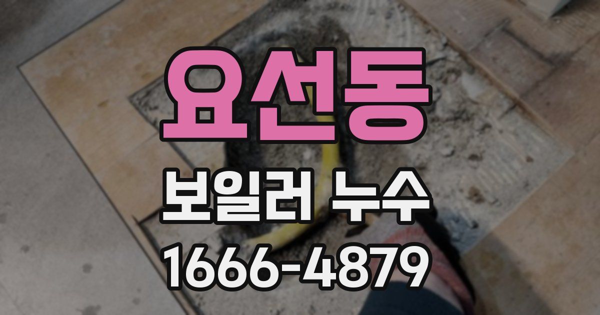 요선동 보일러 누수