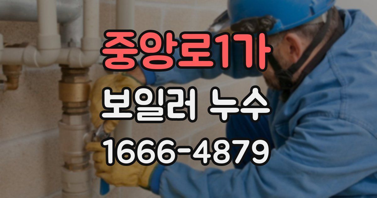 중앙로1가 보일러 누수